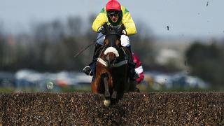 Fox Norton is a prime contender in Saturday's Tingle Creek